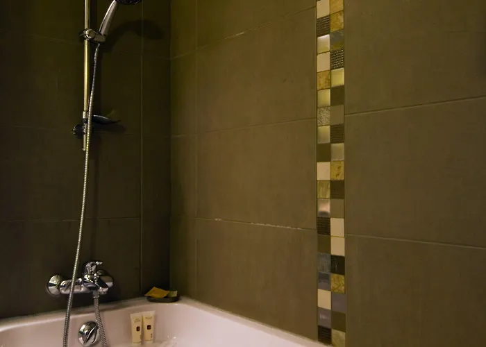 酒店 乐莱斯圣雅克酒店 圣让－德吕兹